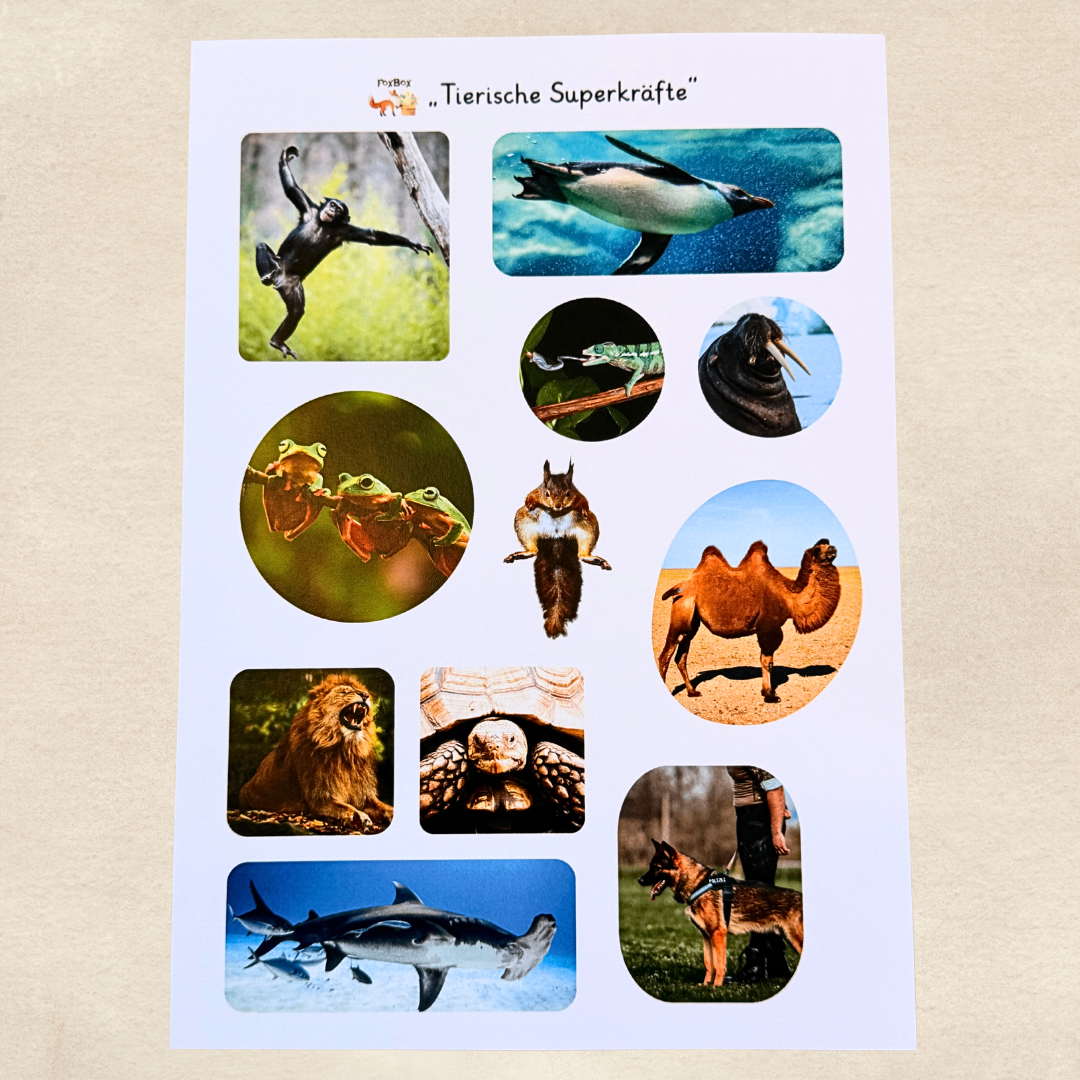 Sticker Tierische Superkräfte
