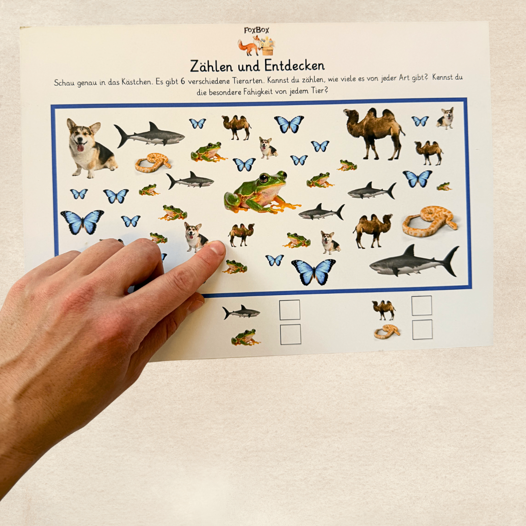 Zählen und Entdecken